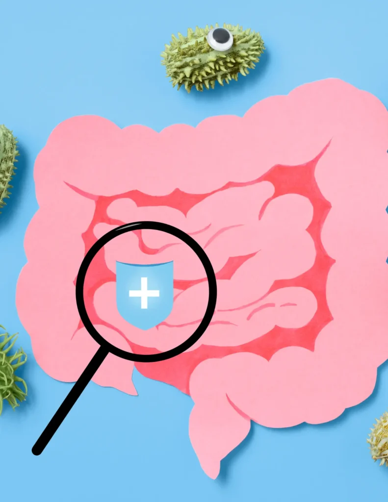 what is an unhealthy gut